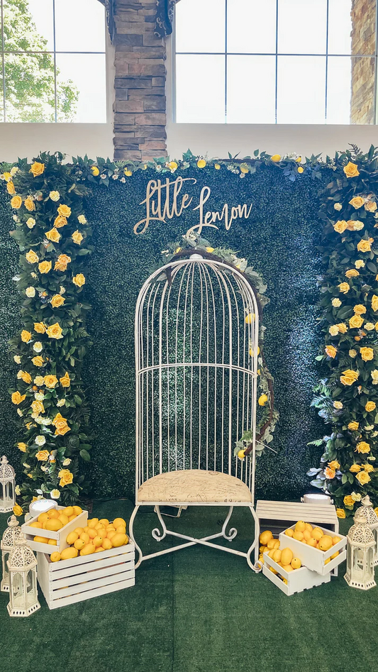 baby shower ideas, baby shower decorations, baby shower gifts, baby shower invitations, baby shower gift ideas, diaper cake, baby shower themes