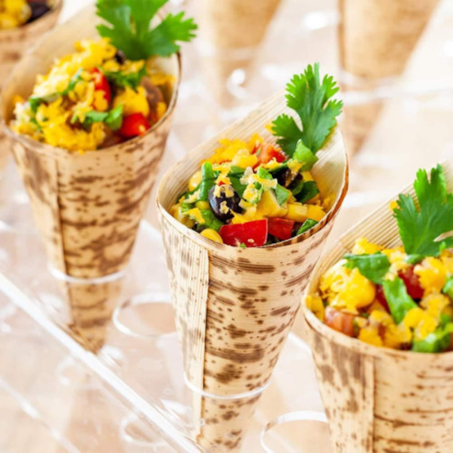20 - Pack Bamboo Charcuterie Cones with Mini Forks – Disposable Grazing Cups for Weddings, Parties & Events - Pretty Party Boxx