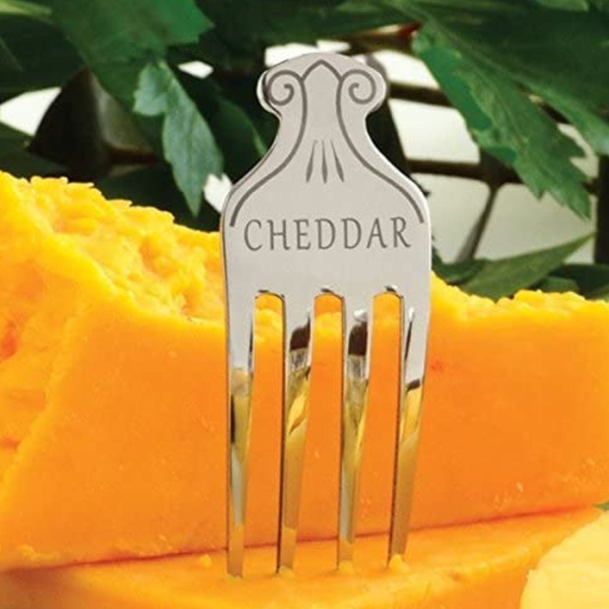 CHEDDAR stainless steel cheese fork marker stuck in cheddar block