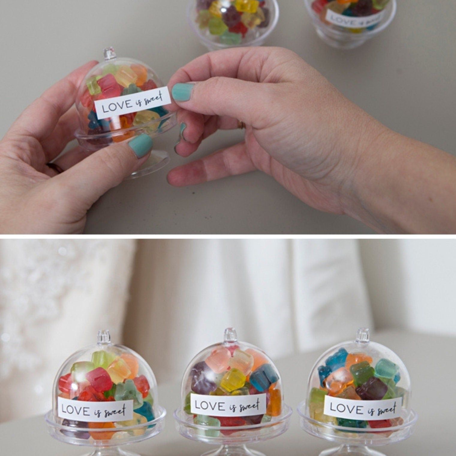 Close-up of reusable plastic dome cake stands used for dessert favors