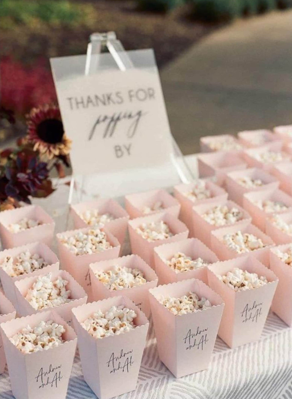 Pastel Pink Popcorn Cups - Set of 12 Mini Popcorn Boxes for Parties & Events - Pretty Party Boxx