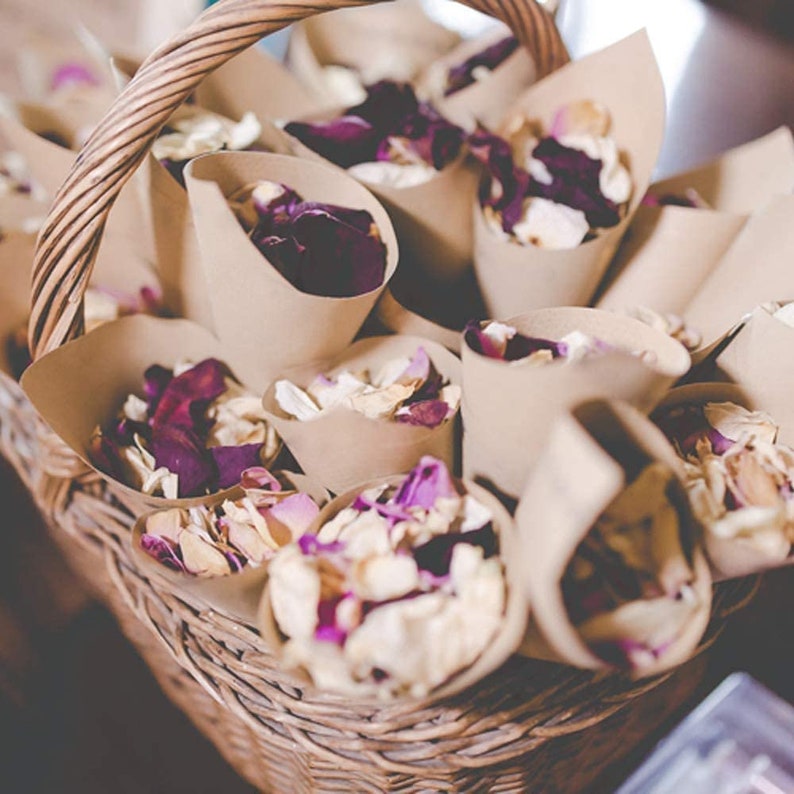 Brown Paper Charcuterie Cone w/Toothpicks Set