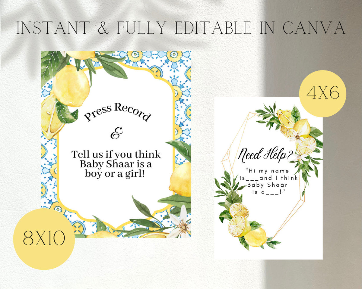 Lemon Gender Reveal Bundle – Voting Sign, Press Record Sign & Stickers, Printable