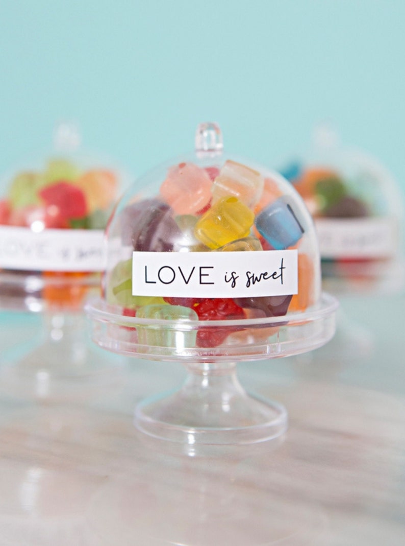 Mini cake display domes with clear lids for dessert tables, wedding favors, birthdays and baby shower treats