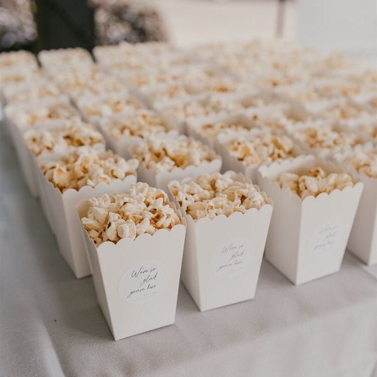 Mini Striped Popcorn Favor Boxes – Pastel Party Snack Boxes for Birthdays & Showers